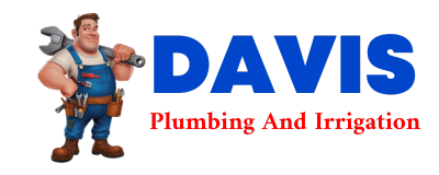 Trusted plumber in LOHMAN